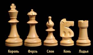 Как ходят фигуры в шахматах Правила игры по шахматам